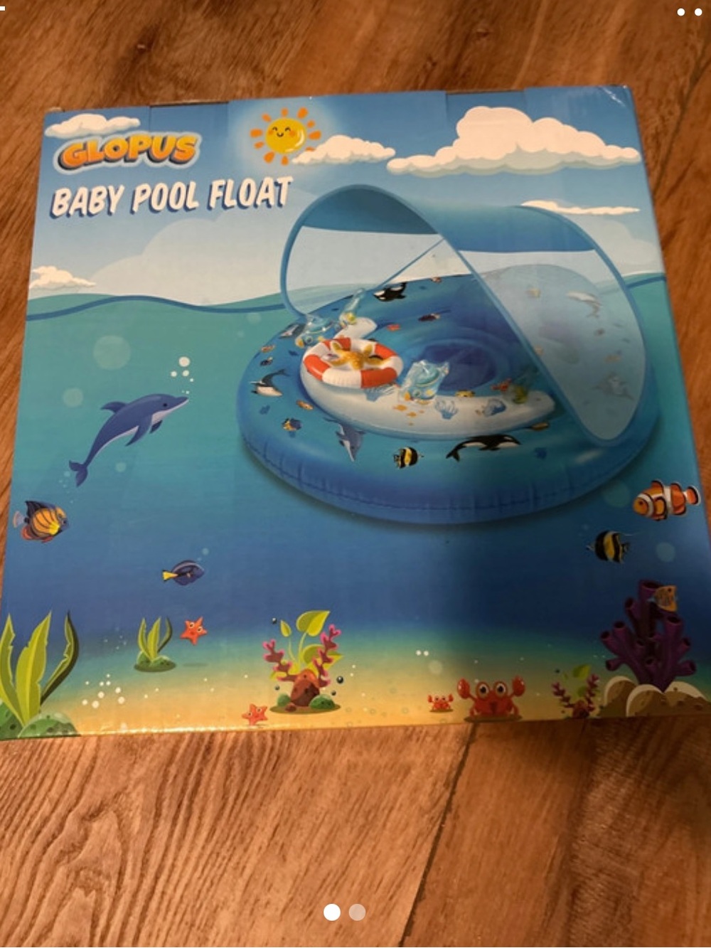 Baby Pool Float with Canopy